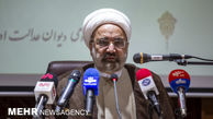 حذف برخی عناوین مجرمانه / بررسی تبدیل استجازه رهبری به قانون