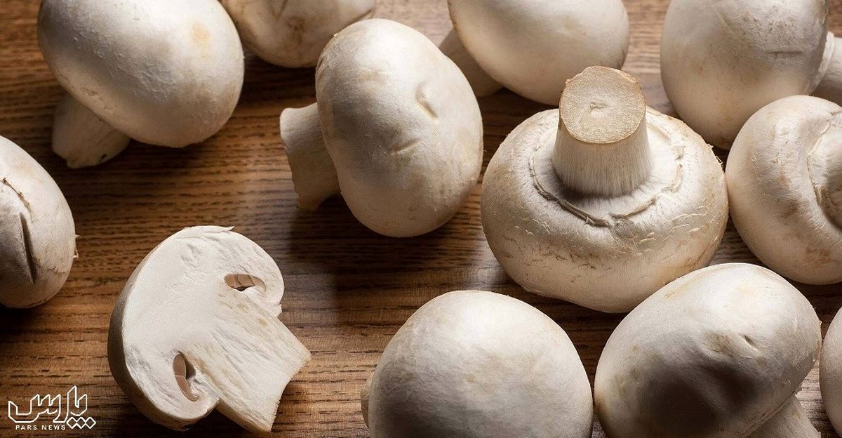 4 روش فریز کردن قارچ بدون سیاه شدن و پلاسیدگی