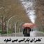 تهران بارانی می شود