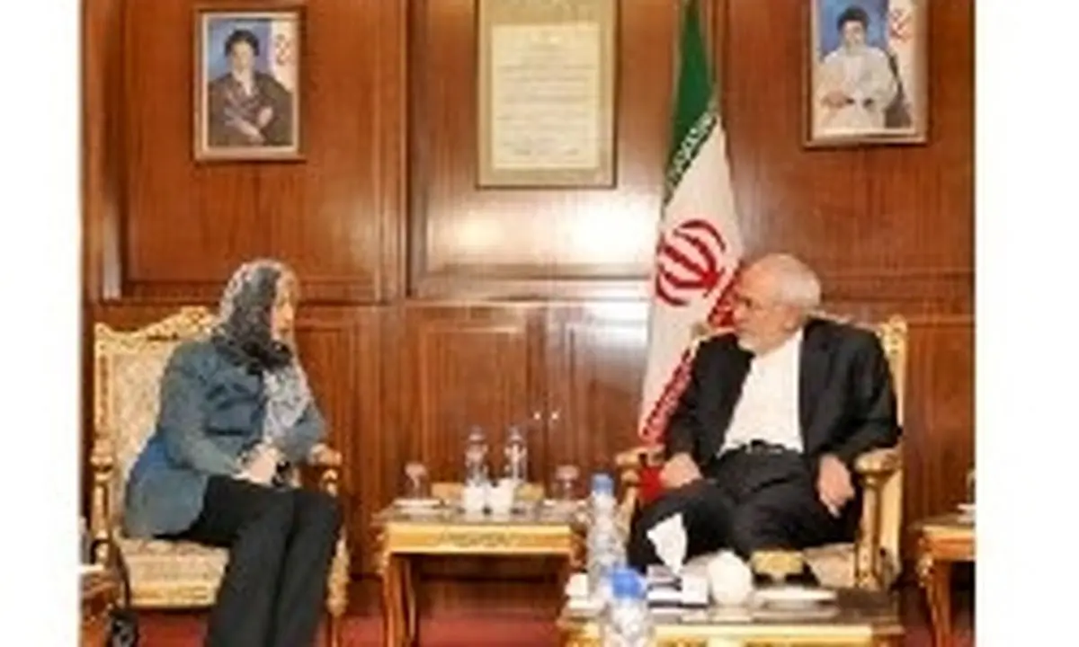 اشمید با ظریف دیدار کرد