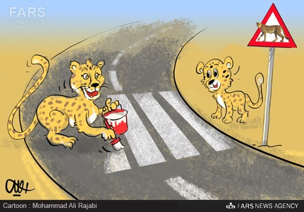محل عبور یوزپلنگ ایرانی!