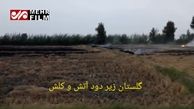 آتش در شالیزارهای گلستان