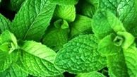 برای تقویت حافظه از این نوشیدنی استفاده کنید