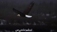 واکنش مجازی بازیکن محروم استقلال در مقابل تصمیم فتحی