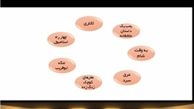 «دارکوب» از آرای تماشاگران حذف شد