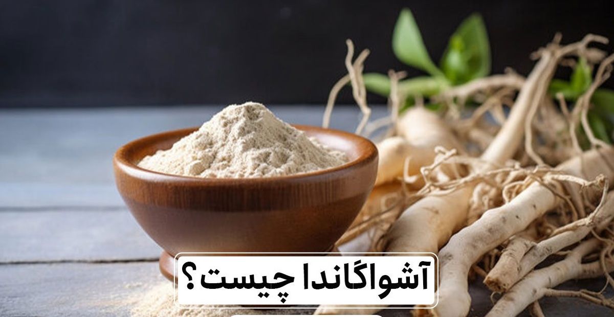 جینسینگ هندی یا آشواگاندا چیست و چه خواصی برای بدن دارد ؟