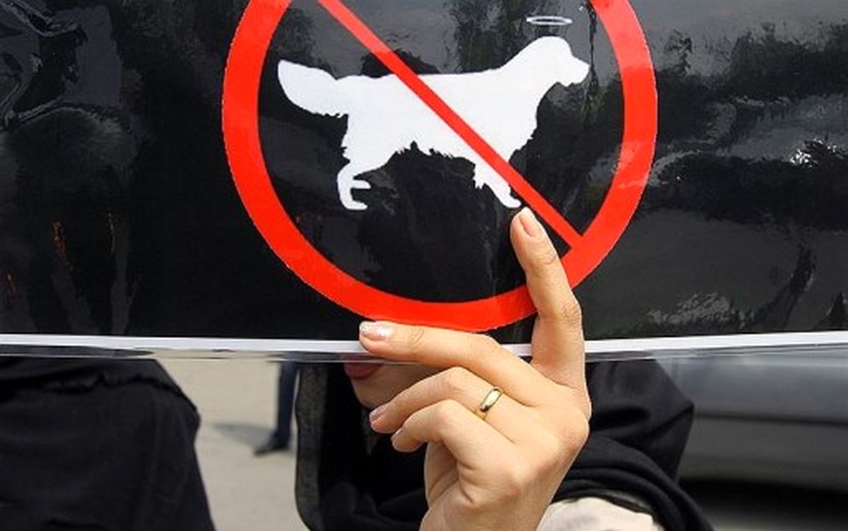 آلودگی هوا، ریزگردها و سگ کشی