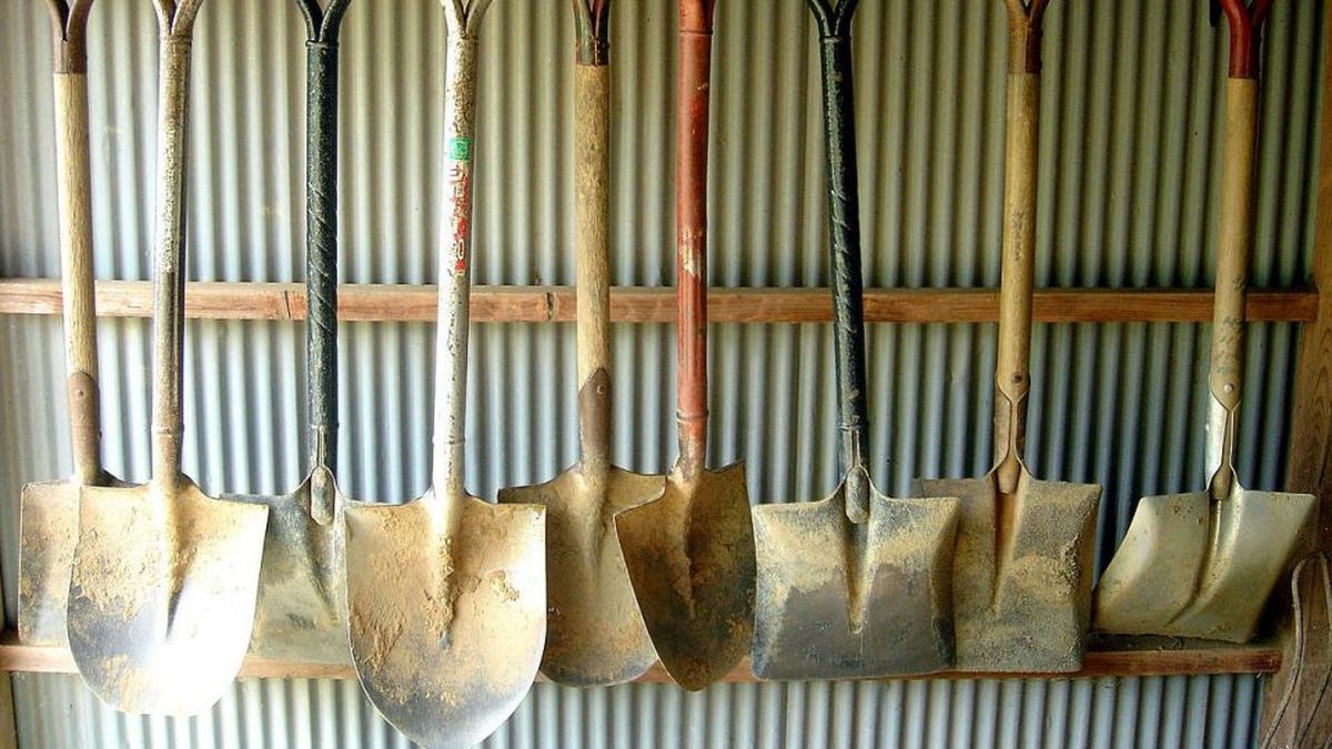 آمار عجیب از واردات چیزهای عجیب !