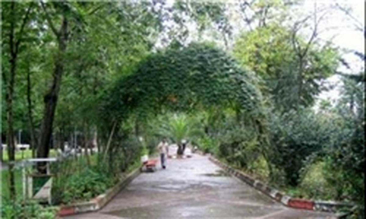 کاهش ۸ درجه‌ای دما در سطح کشور