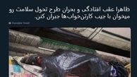توئیتر::تامین مالی طرح سلامت از جیب کارتن‌خواب‌ها