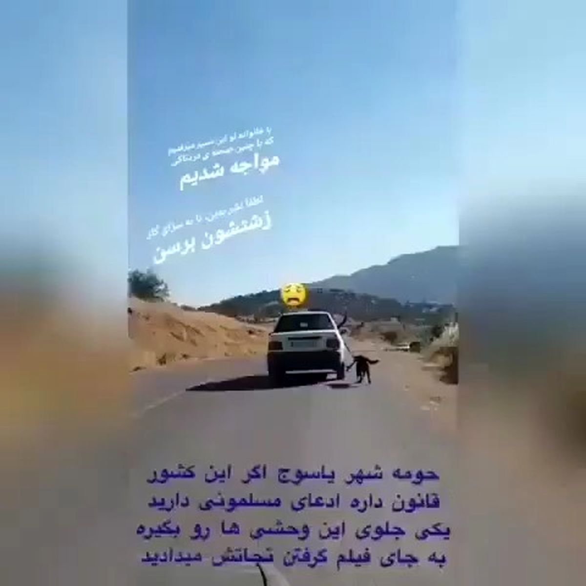 اتفاقی در حومه یاسوج که شقایق فراهانی را شگفت زده کرد!+عکس