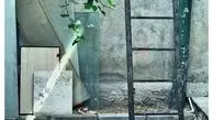 خردجویی به سبک مهدی پاکدل+عکس