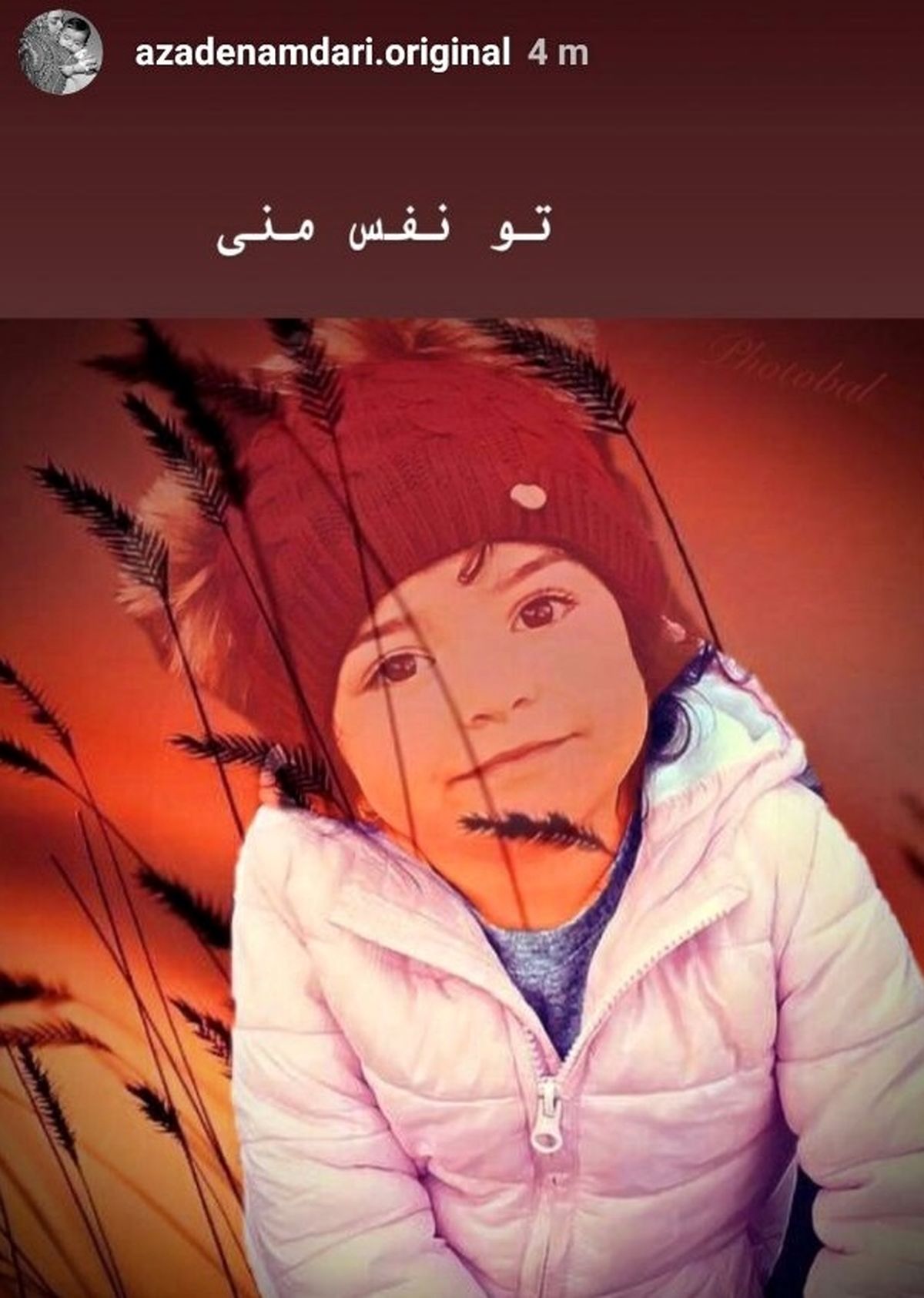 عکس نفس آزاده نامداری