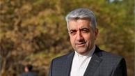 کشت برنج غیر از استان‌های شمالی ممنوع شد 