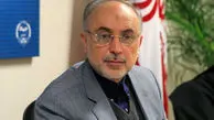 صالحی: مشکلی برای مذاکره با آمریکا نداریم