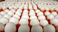 تخم‌مرغ و میوه شاگرد اول گرانی