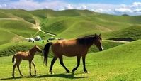 بهترین مقاصد سفر در عید 1402 و راهنمای سفر نوروزی