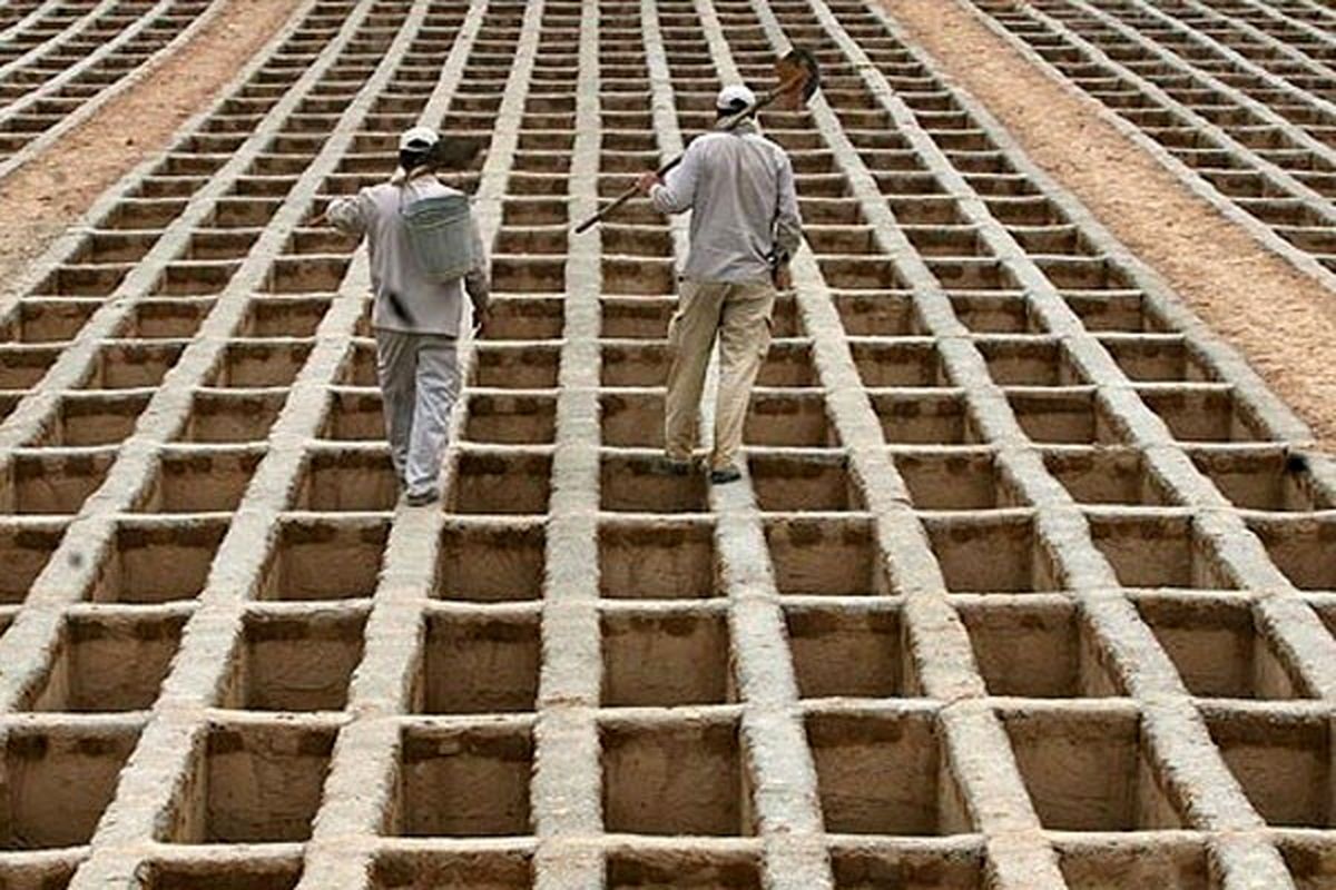 علت اصلی مرگ تهرانی‌ها چیست؟ 
