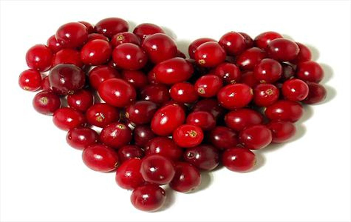 10 خاصیت معجزه آسای زغال اخته