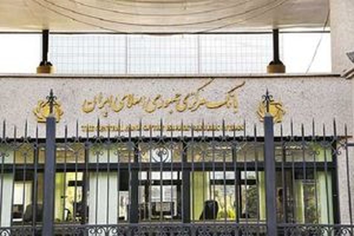 ورشکستگی،دستاورد ساماندهی موسسات غیرمجاز 