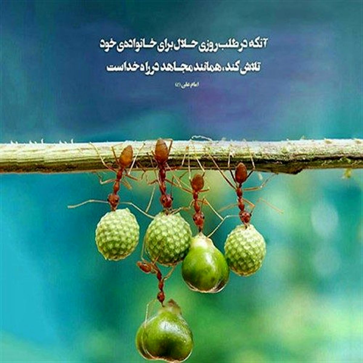 عملی که روزی انسان را زیاد می‌کند