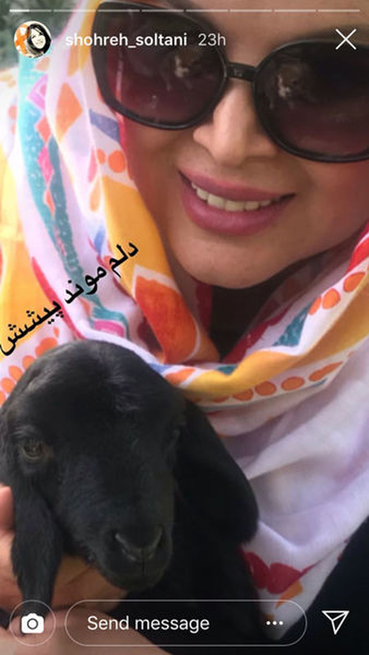 بره کوچولوی شهره سلطانی + عکس