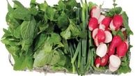  خبری خوب برای تهرانی ها