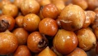 طرز تهیه ترشی ازگیل گیلانی مخصوص شب یلدا