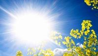  برای کاهش خطر ناشی از تابش اشعه فرابنفش این کارها را انجام دهید
