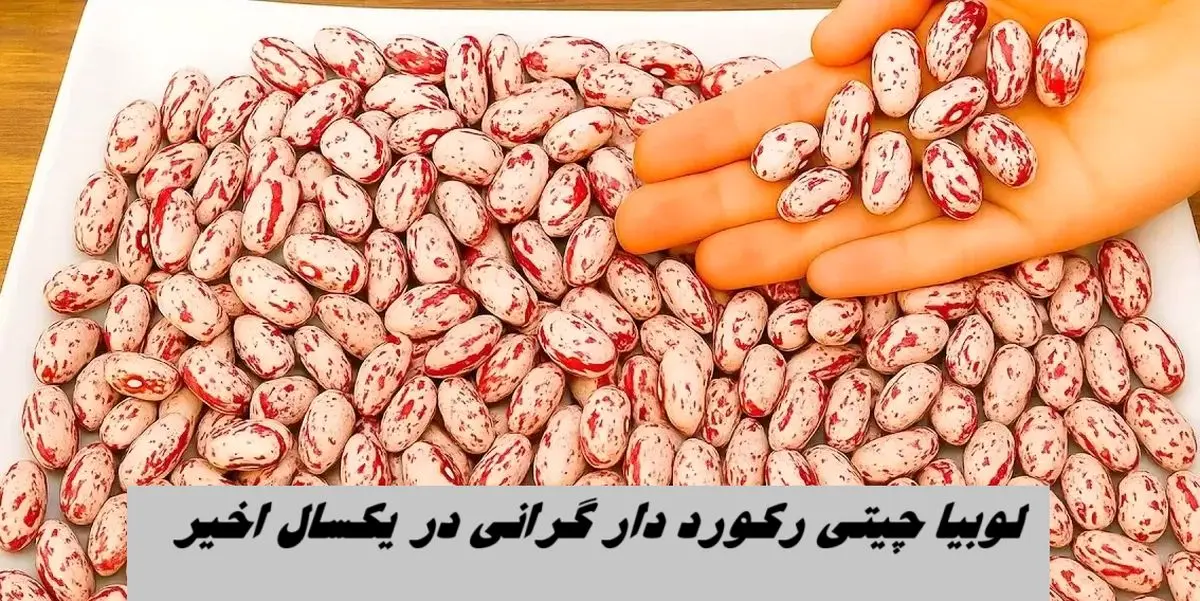  لوبیا چیتی رکورد دار گرانی در یکسال اخیر !+ نمودار تغییرات قیمت کالاهای اساسی
