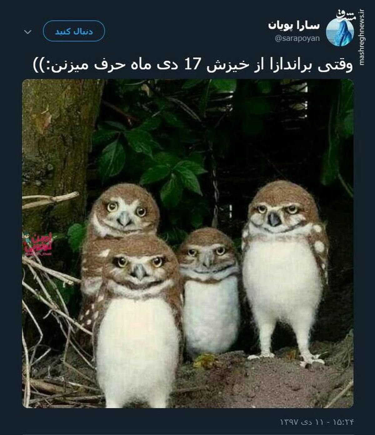وقتی براندازها از خیزش دی ماه حرف می‌زنند 