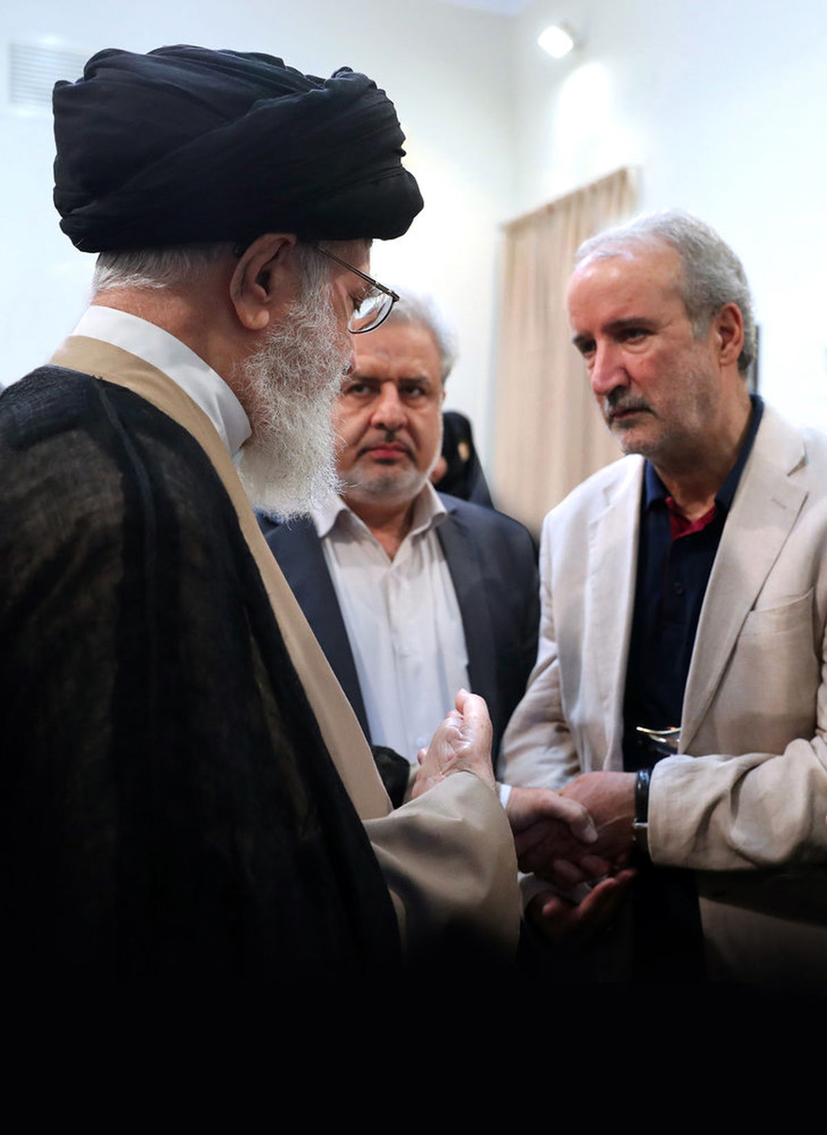 دیدار آقای «مرتضی سرهنگی» با رهبر انقلاب 