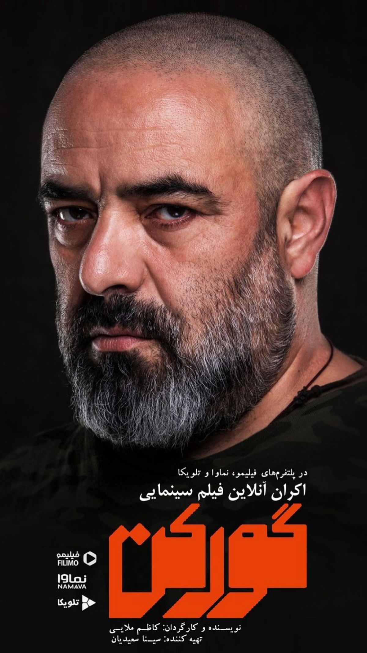 پوستر حسن معجونی در گورکن + عکس