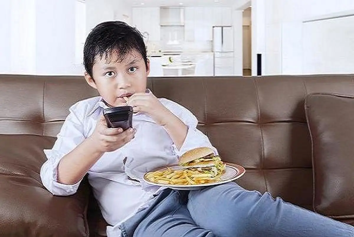 پوکی استخوان موریانه ساختمان بدن