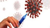 ۴۸۷ فوتی و ۲۰۲۱۹ ابتلای جدید کرونا در کشور