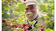 عکس شاداب داریوش ارجمند