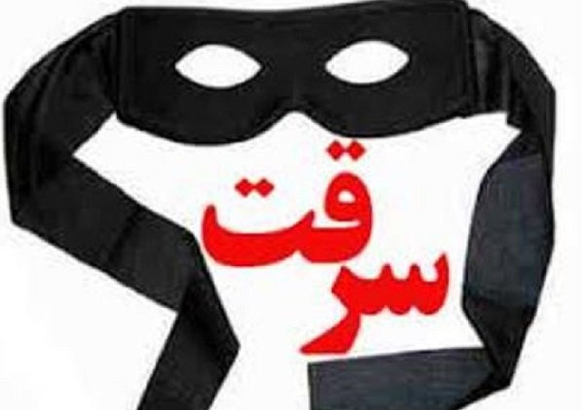 مسافرهای زورگیر به دام افتادند