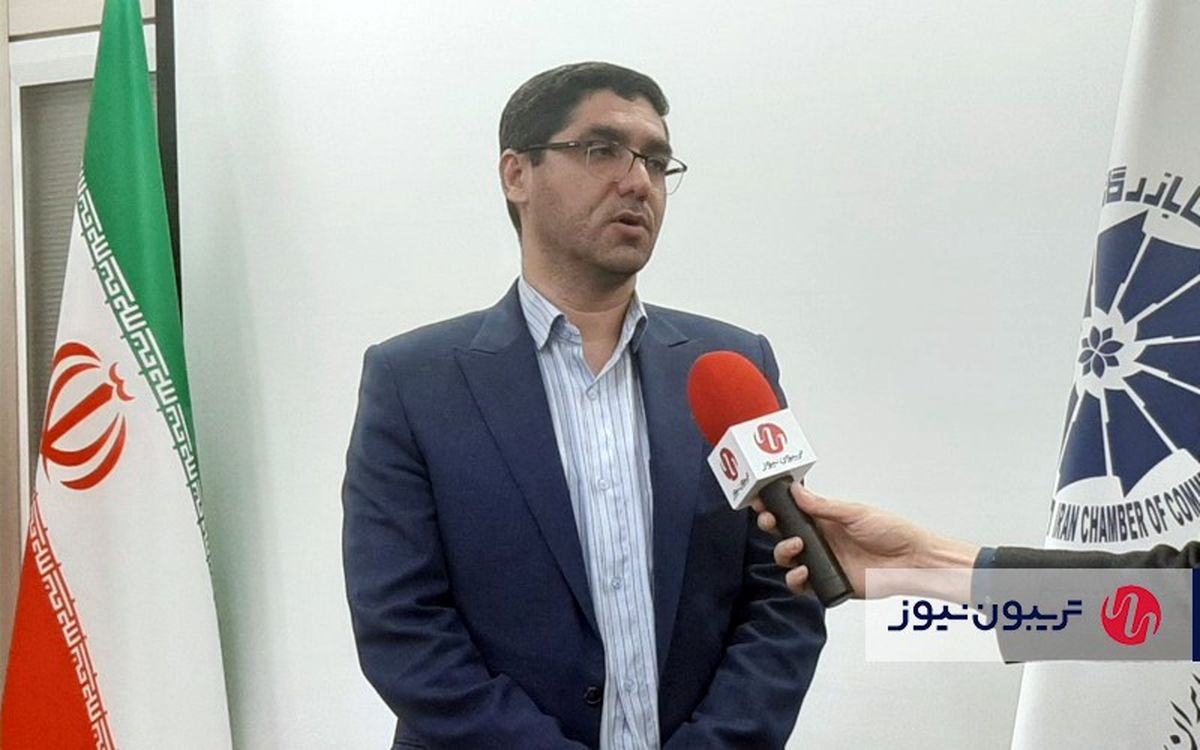 بخش خصوصی فعال‌تر و پویاتر در موضوع آفریقا ورود کند