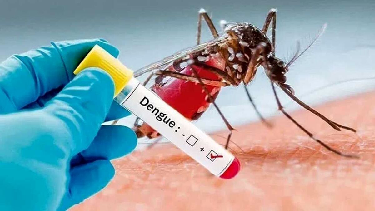زنگ خطر تب دنگی به صدا درآمد | آغاز همه گیری از شهریور