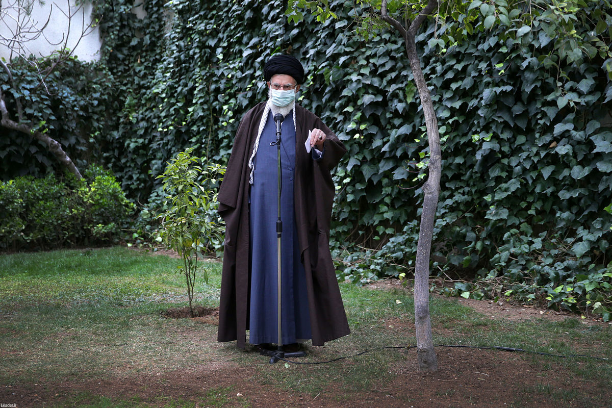 کاشت دو نهال میوه توسط رهبر انقلاب/ گزارش تصویری