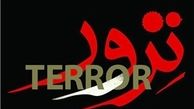 دادستان «هرات» ترور شد