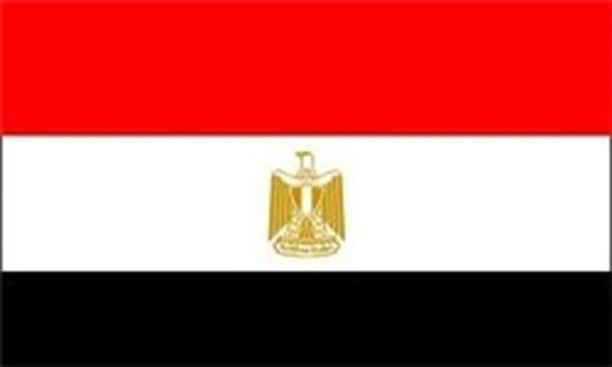 سفیر سابق مصر در آمریکا، وزیر خارجه شد
