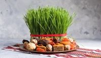 کاشت سبزه فوری عید ویژه فراموشکارها ؛ این دفعه رو دیگه جا نمونید وقت ندارید !