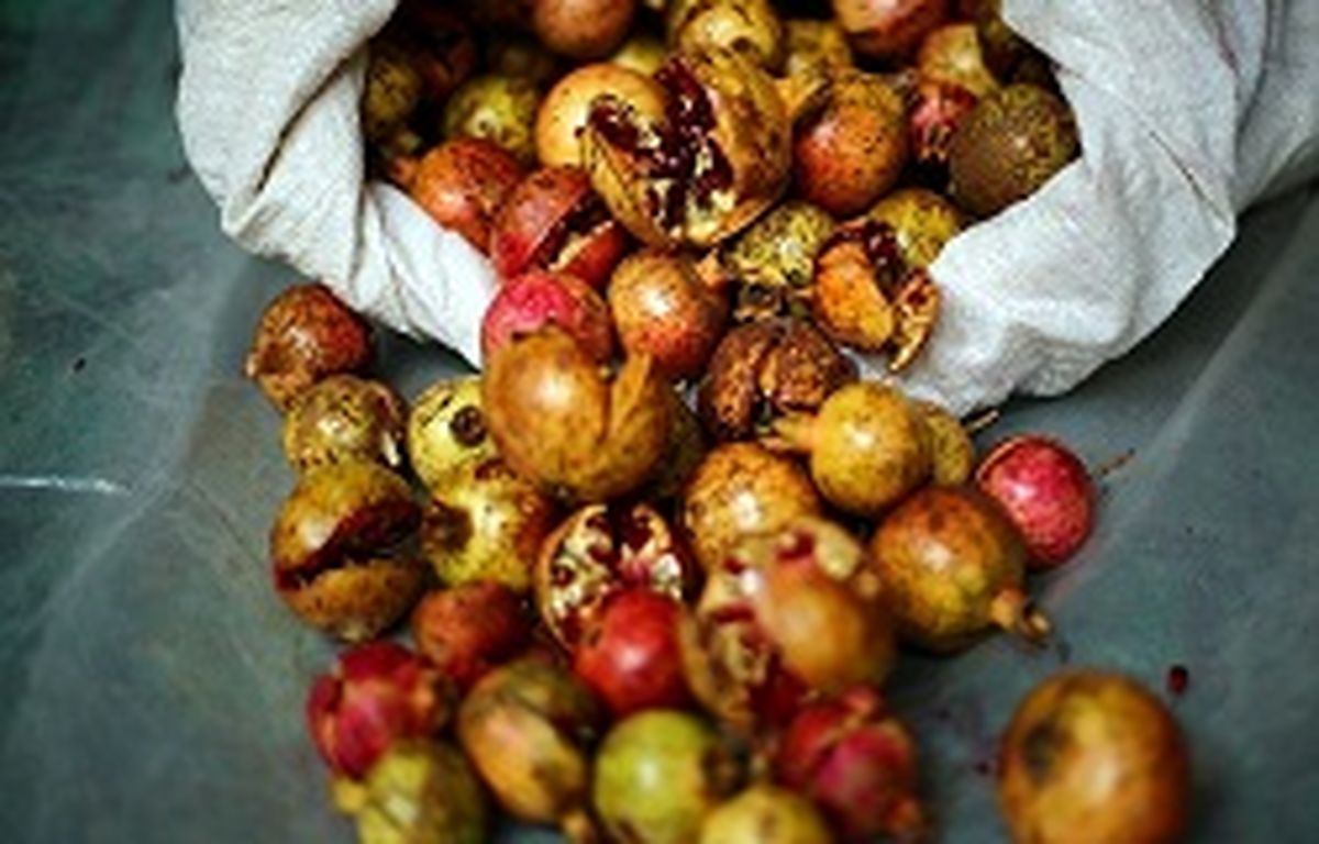 فواید پوست انار خشک شده 