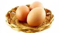 صادرات تخم مرغ رنگی تازه به خود گرفت 