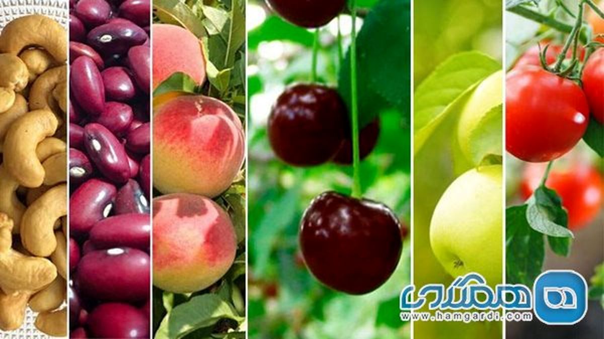 سمی ترین مواد غذایی که هر روز مصرف می کنید !