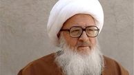 وزیر نیرو با آیت‌الله وحید خراسانی دیدار کرد