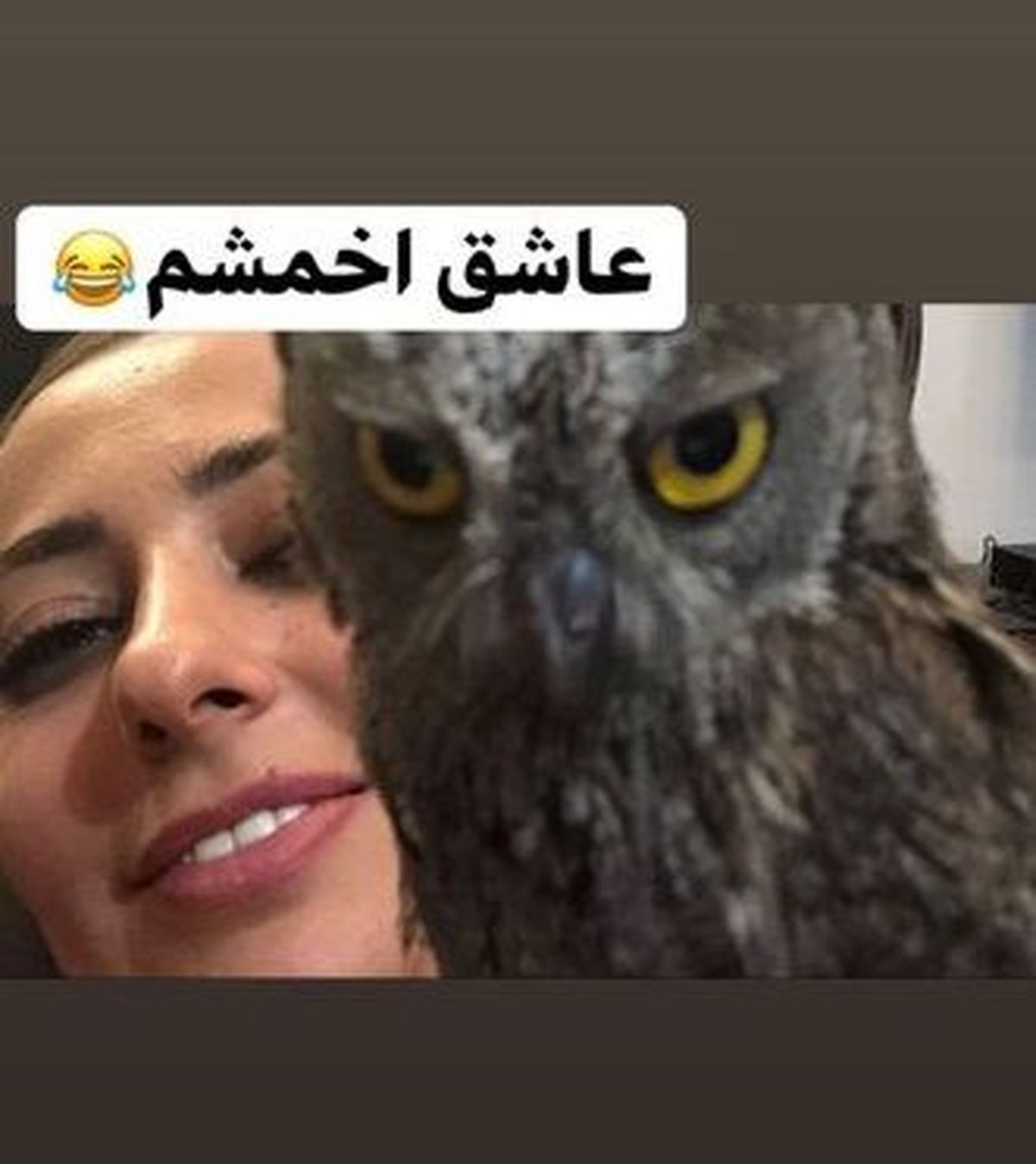 حیوان خانگی اخمالو نفیسه روشن + عکس