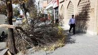 تندباد ۸۰ کیلومتر بر ساعتی در همدان/تصاویر