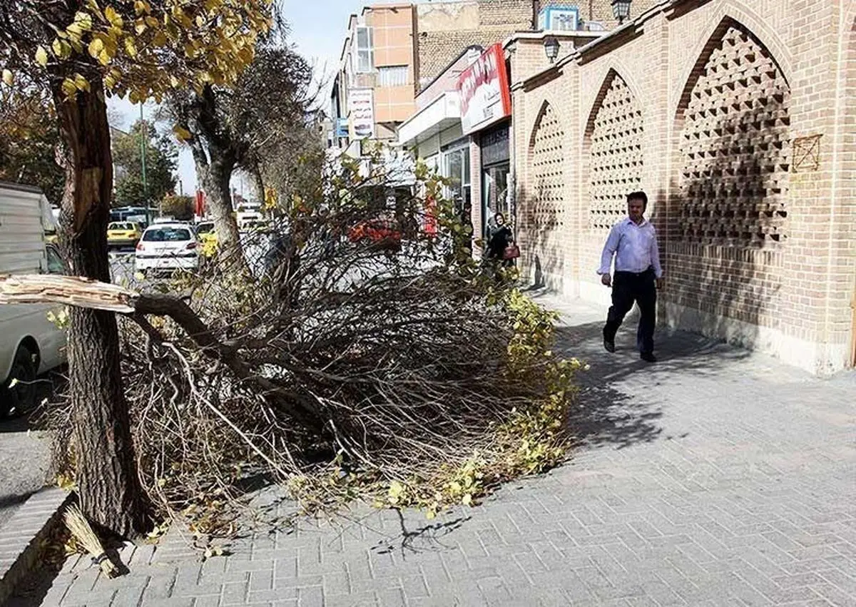 تندباد ۸۰ کیلومتر بر ساعتی در همدان/تصاویر